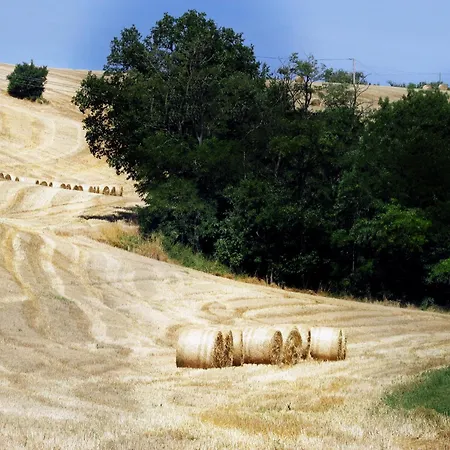 Сasa de vacaciones En Pascot - 190 M2 - 3 - 6 Pers - 3 épis Et 3 étoiles - à 10 Mn De Villefranche Et Nailloux *