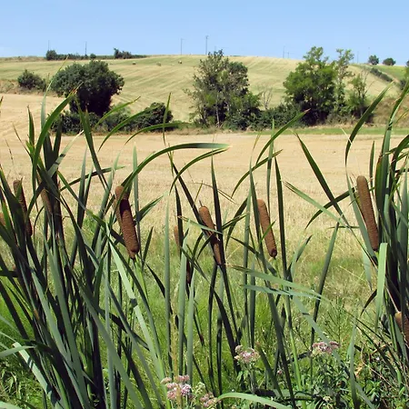 En Pascot - 190 M2 - 3 - 6 Pers - 3 épis Et 3 étoiles - à 10 Mn De Villefranche Et Nailloux