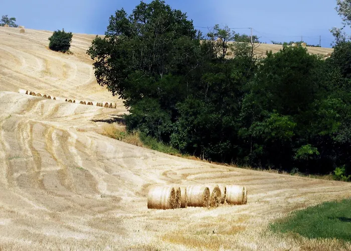 Сasa de vacaciones En Pascot - 190 M2 - 3 - 6 Pers - 3 épis Et 3 étoiles - à 10 Mn De Villefranche Et Nailloux *