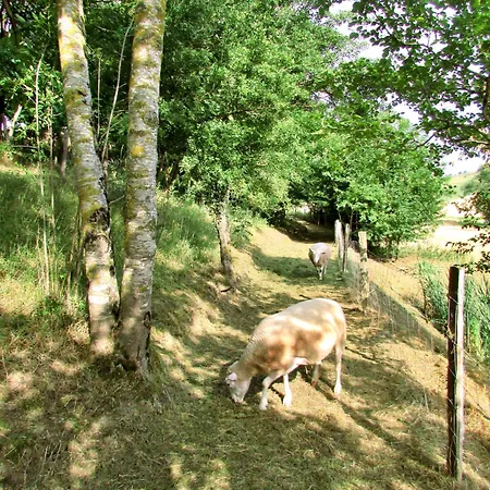 Holiday home En Pascot - 190 M2 Pour 6 Personnes - Ideal Familles Et Amis - 3 Et 2 Salles De Bain - Billard, Jardin, Barbecue Et Bibliotheque - A 10 Min De Villefranche, Nailloux Et Du Canal Du Midi