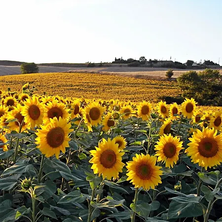 Grand De Charme 190 M2 Avec Billard, Jardin Et Cheminée- Idéal Familles Ou Entre Amis - Proche Canal Du Midi *