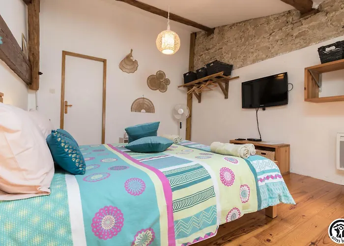 En Pascot - 190 M2 Pour 6 Personnes - Ideal Familles Et Amis - 3 Et 2 Salles De Bain - Billard, Jardin, Barbecue Et Bibliotheque - A 10 Min De Villefranche, Nailloux Et Du Canal Du Midi Σπίτι διακοπών