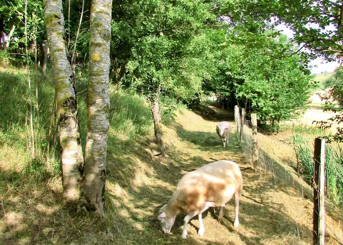 Σπίτι διακοπών En Pascot - 190 M2 Pour 6 Personnes - Ideal Familles Et Amis - 3 Et 2 Salles De Bain - Billard, Jardin, Barbecue Et Bibliotheque - A 10 Min De Villefranche, Nailloux Et Du Canal Du Midi