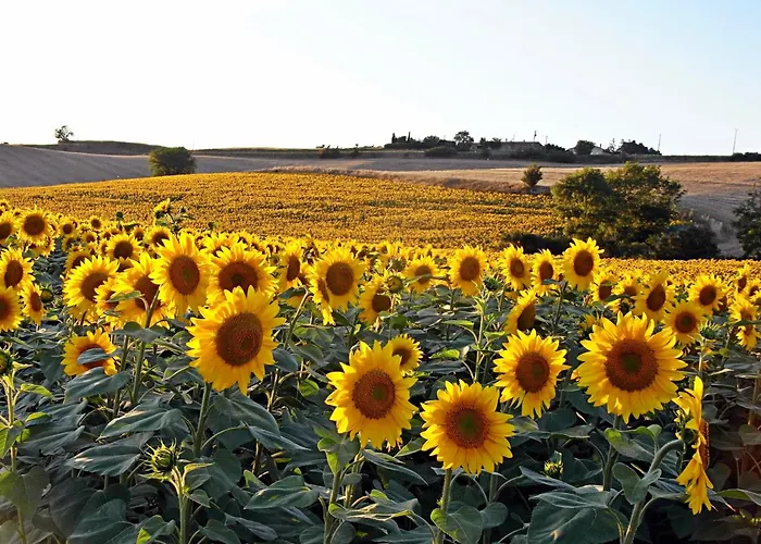 En Pascot - 190 M2 Pour 6 Personnes - Ideal Familles Et Amis - 3 Et 2 Salles De Bain - Billard, Jardin, Barbecue Et Bibliotheque - A 10 Min De Villefranche, Nailloux Et Du Canal Du Midi *
