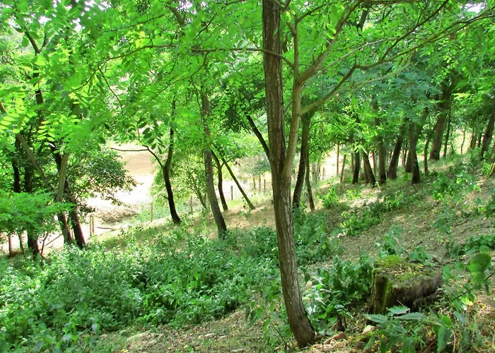 En Pascot - 190 M2 Pour 6 Personnes - Ideal Familles Et Amis - 3 Et 2 Salles De Bain - Billard, Jardin, Barbecue Et Bibliotheque - A 10 Min De Villefranche, Nailloux Et Du Canal Du Midi Σπίτι διακοπών Lagarde (Haute-Garonne)