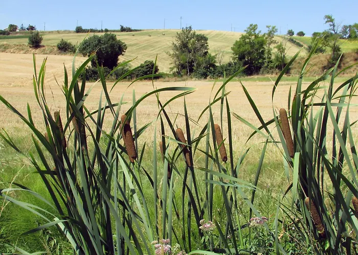 En Pascot - Gîte 190 m2 pour 6 personnes - idéal familles et amis - 3 chambres et 2 salles de bain - billard, jardin, barbecue et bibliothèque - à 10 min de Villefranche, Nailloux et du Canal du Midi